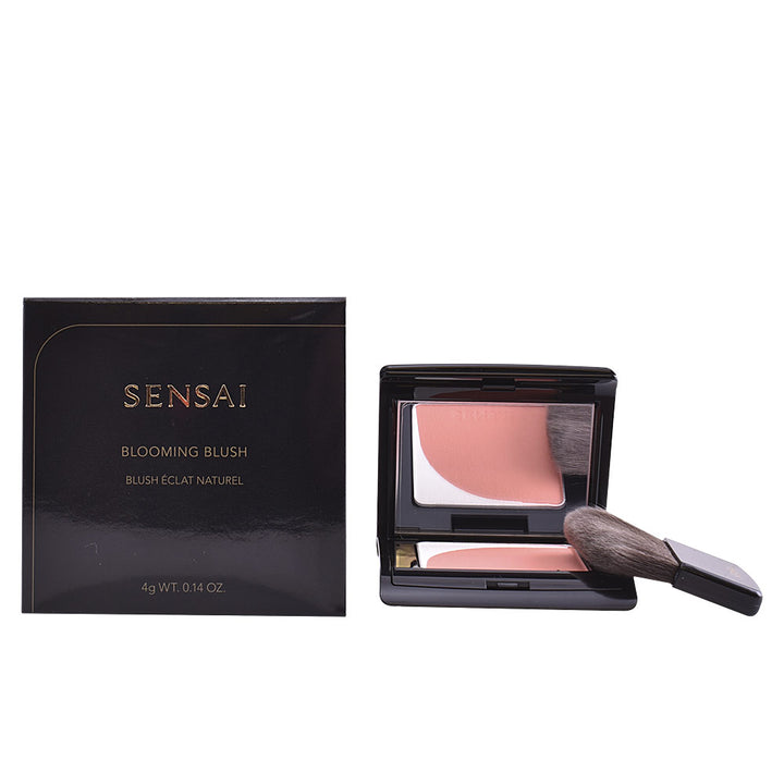 Compact dual-toned powder blush with luminous white highlight, 4 g compact, shade 04-Orange