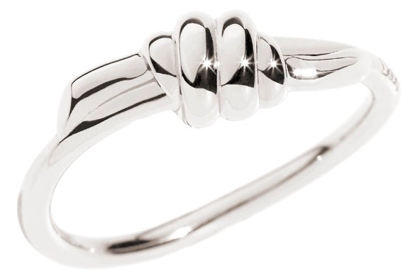 Dodo Minimalist Silver Ring with Sleek Design