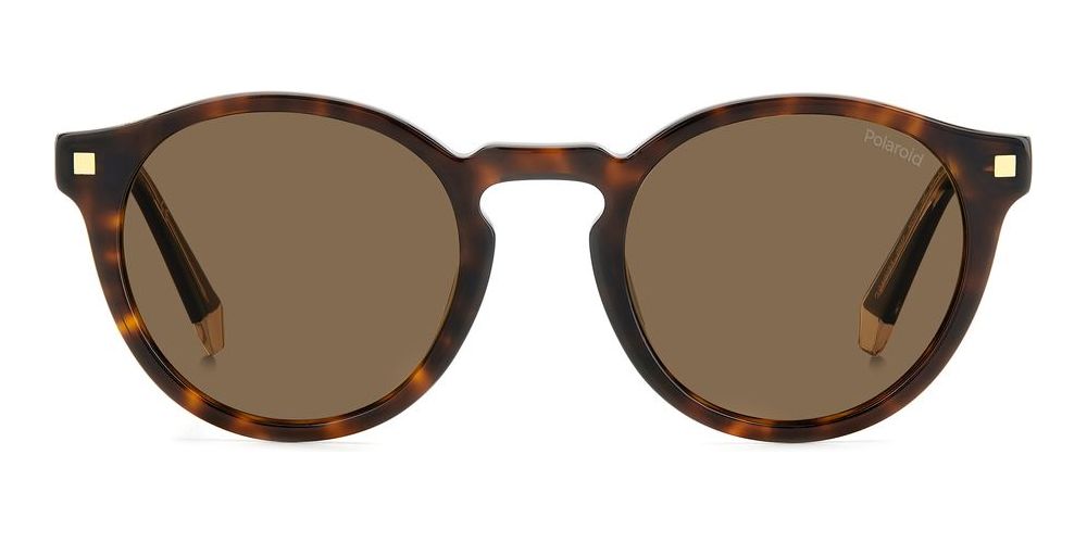 Unisex tortoise shell round sunglasses in acetate with gold square corner accents and polarized lenses